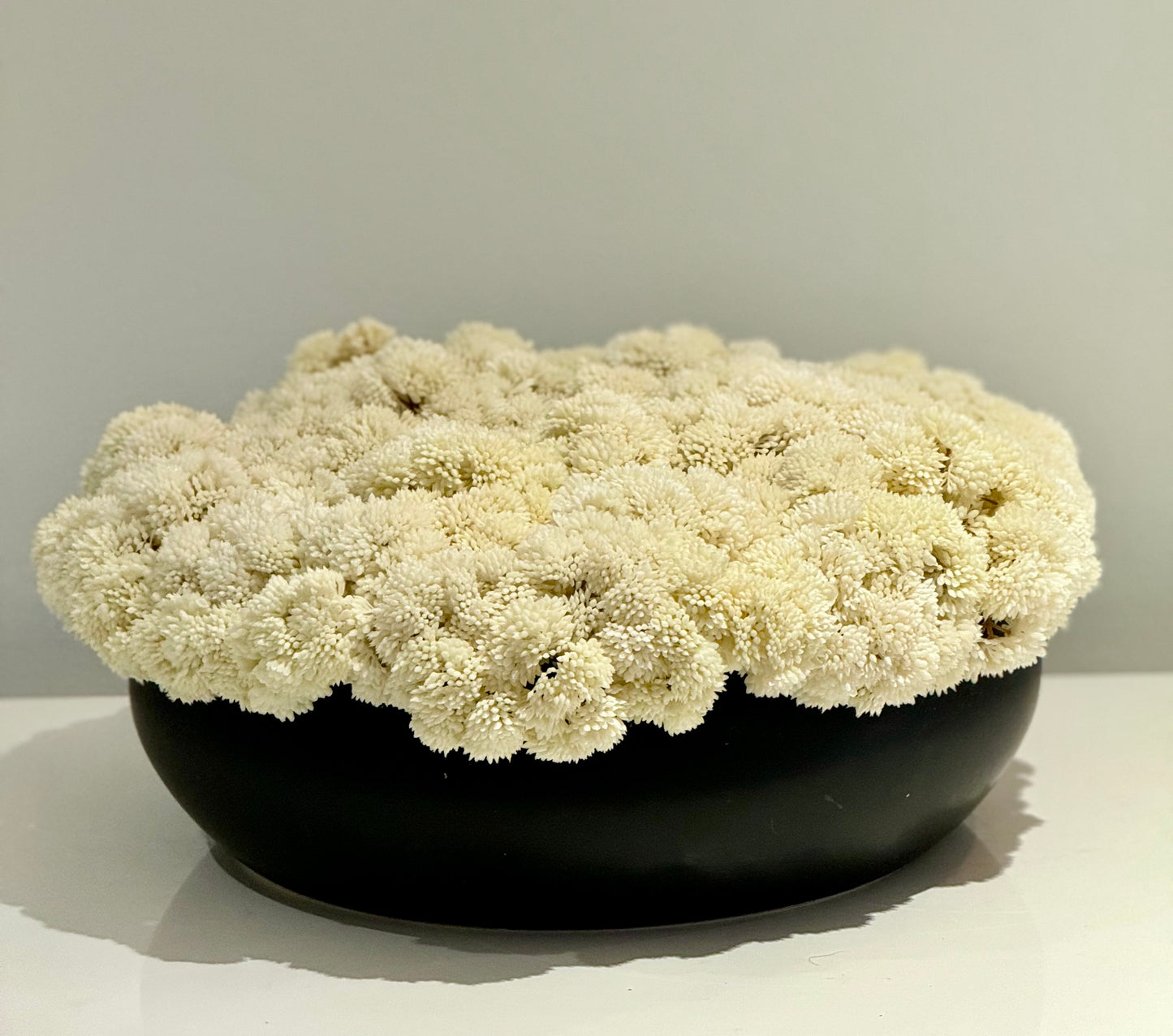 Custom Ceramic Sedum Bowl