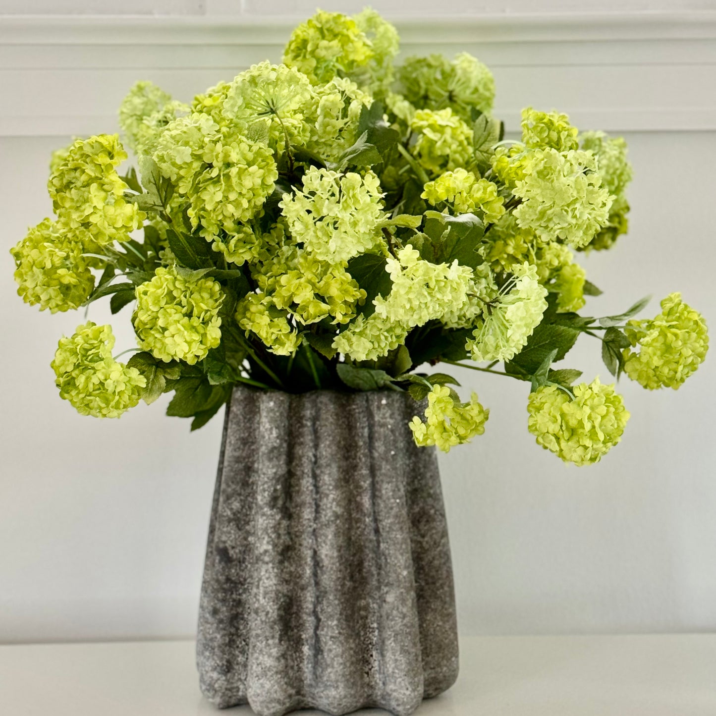 Green Viburnum in Cement Vase
