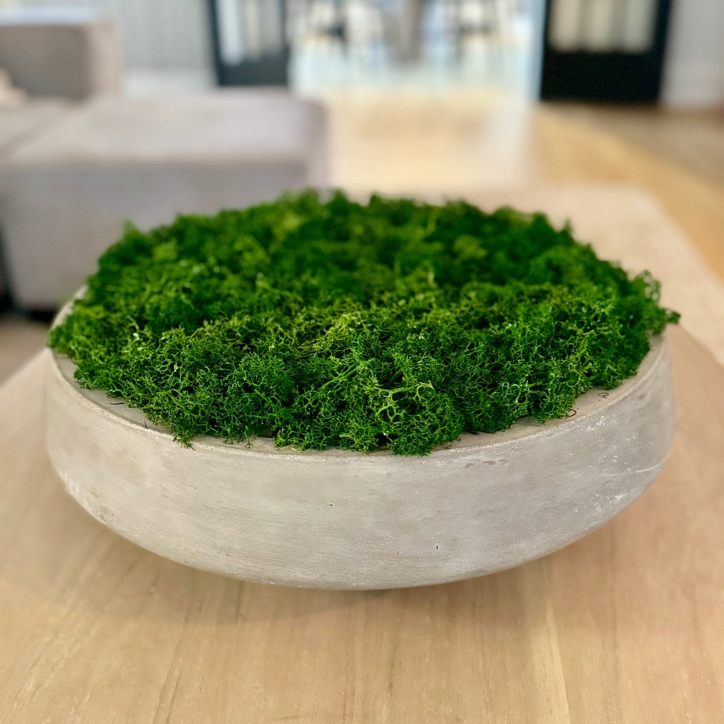 Custom Cement Moss Bowl