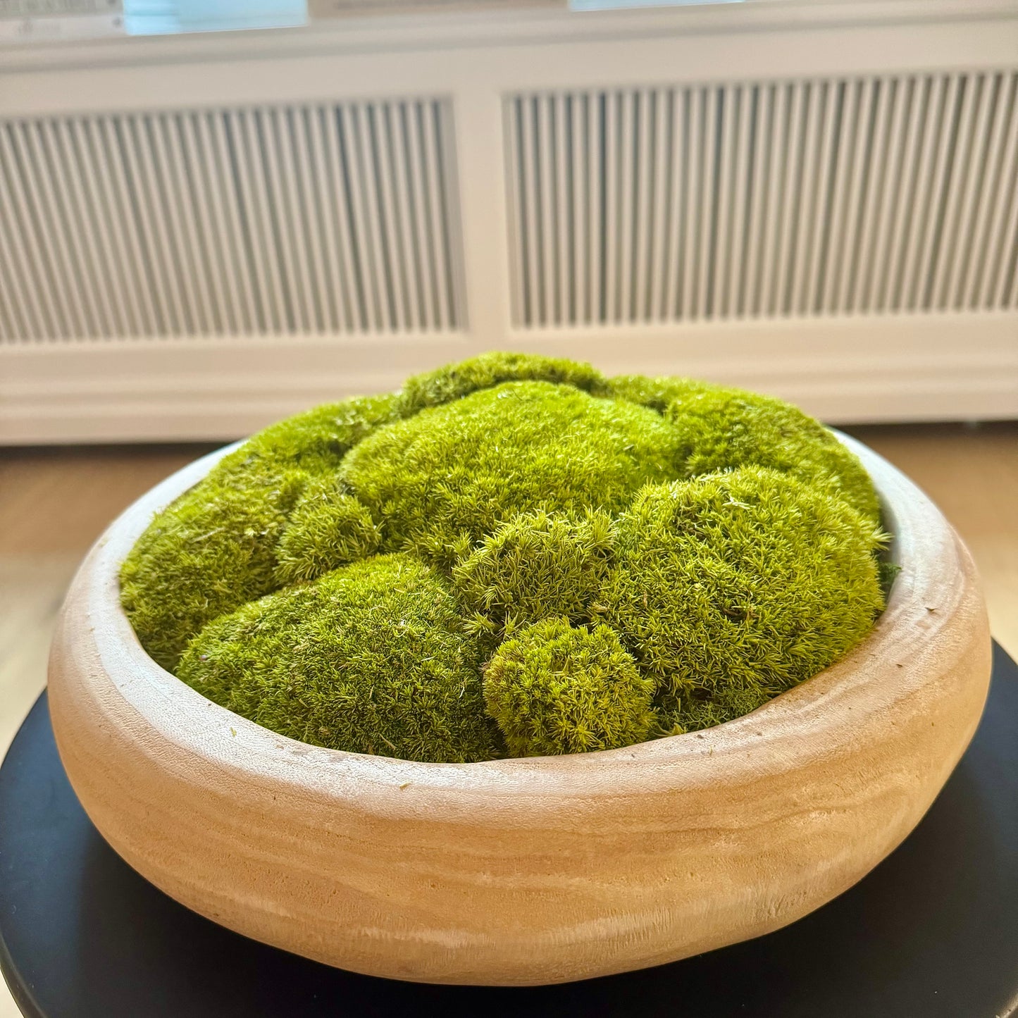 Pebble Moss Bowl