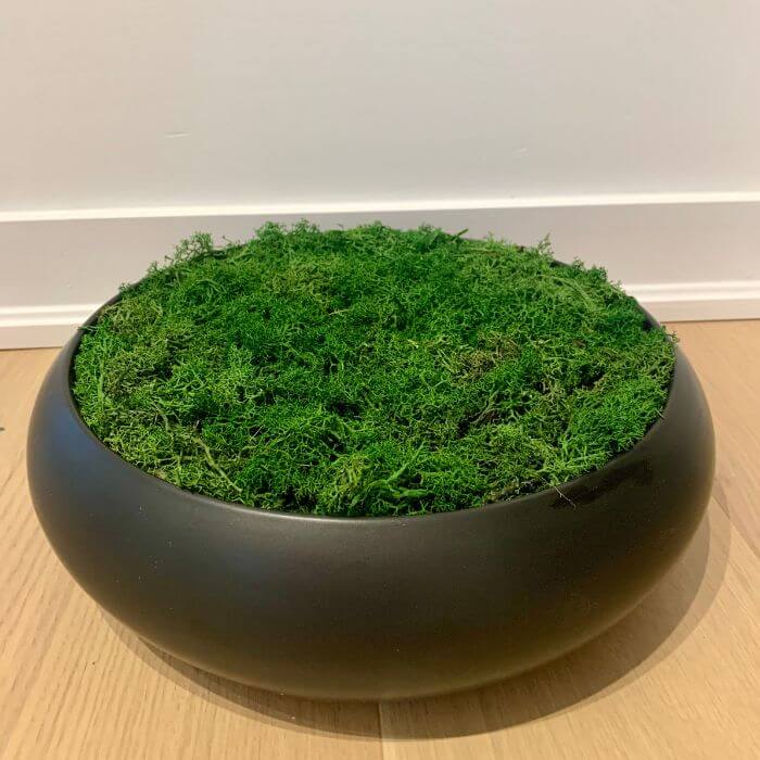 Custom Ceramic Moss Bowl