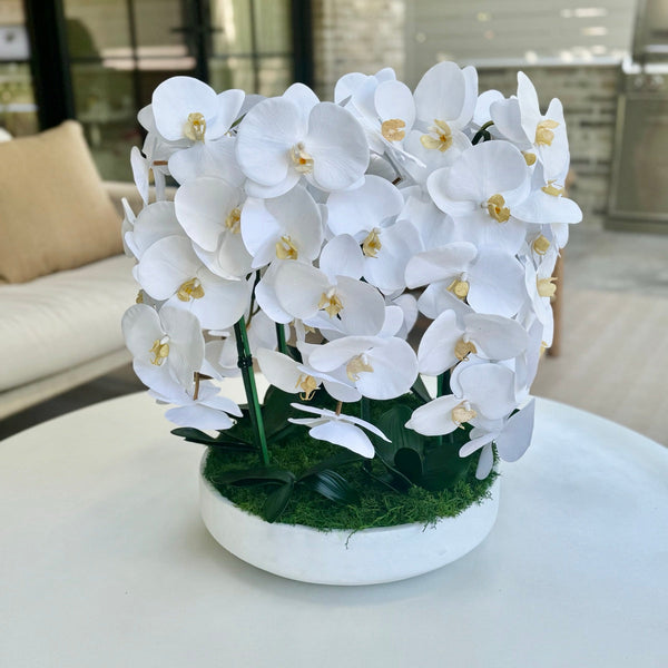 A dense dome of white orchids in a low white ceramic bowl with moss at the base, on a round table in a living room.