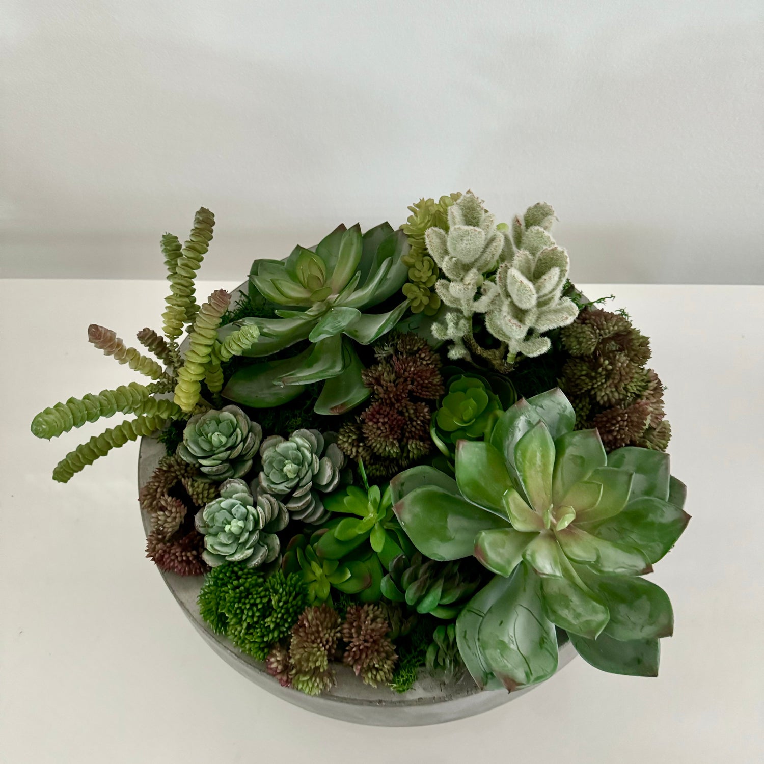 Mixed green and silver succulents with small burgundy rosettes filling a low grey cement bowl.
