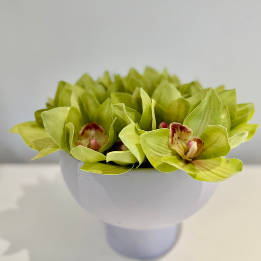 Orchid Bowl