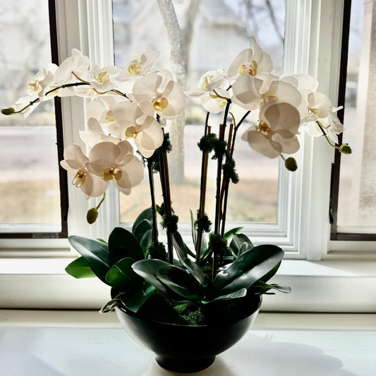 Footed Orchid Bowl