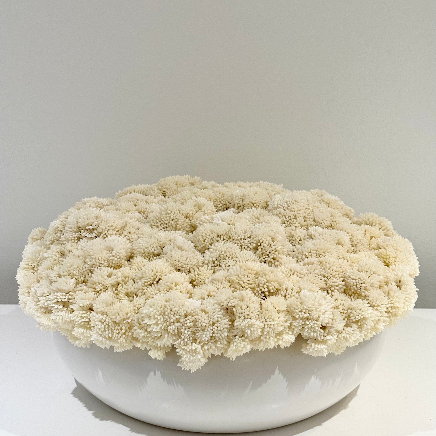 Custom Ceramic Sedum Bowl