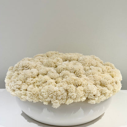 Custom Ceramic Sedum Bowl