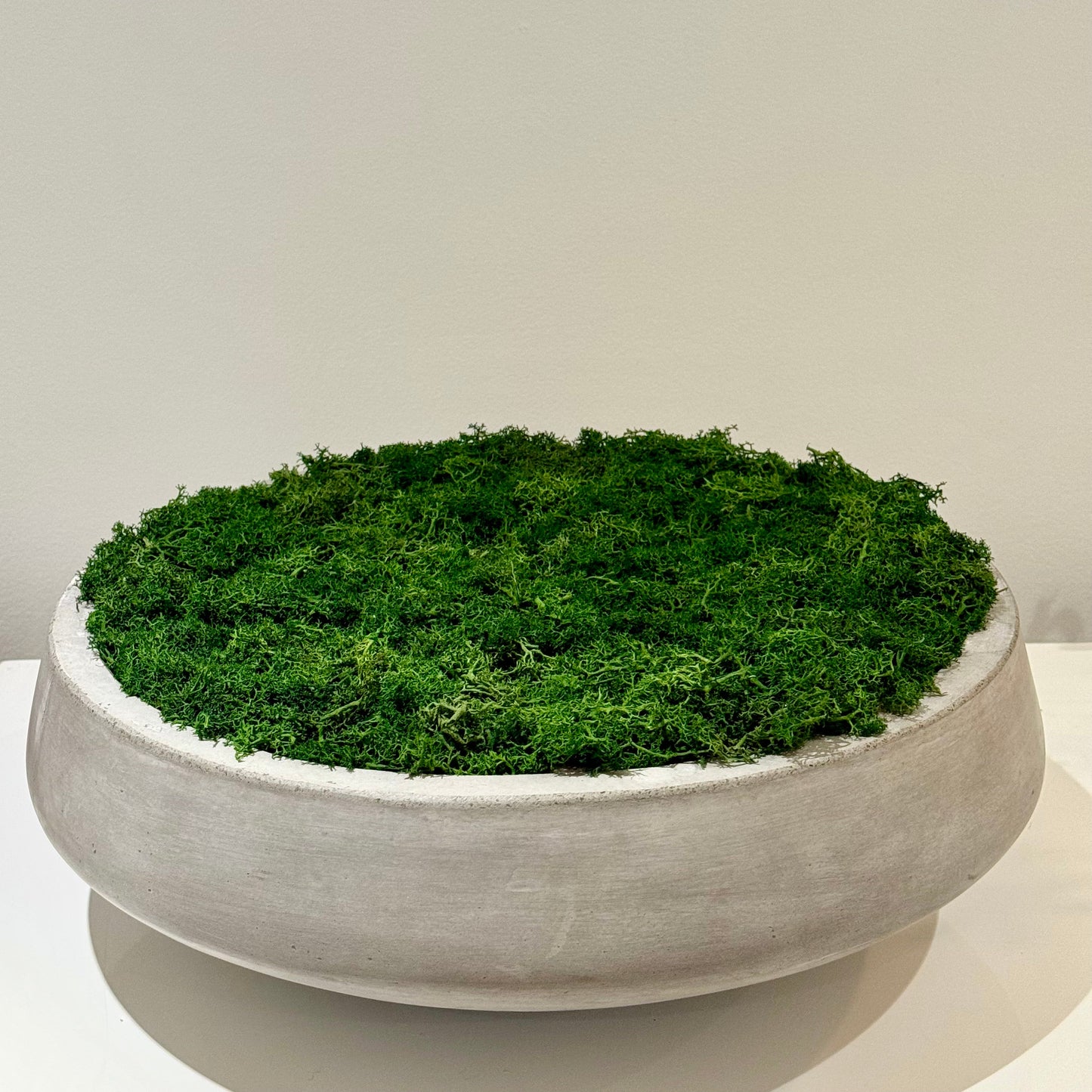 Custom Cement Moss Bowl
