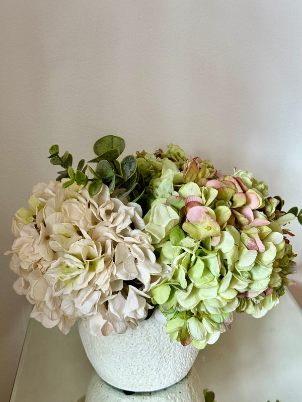 Multi Colour Hydrangea Arrangement (Small)