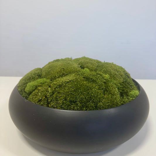 Ceramic Pebble Moss Bowl