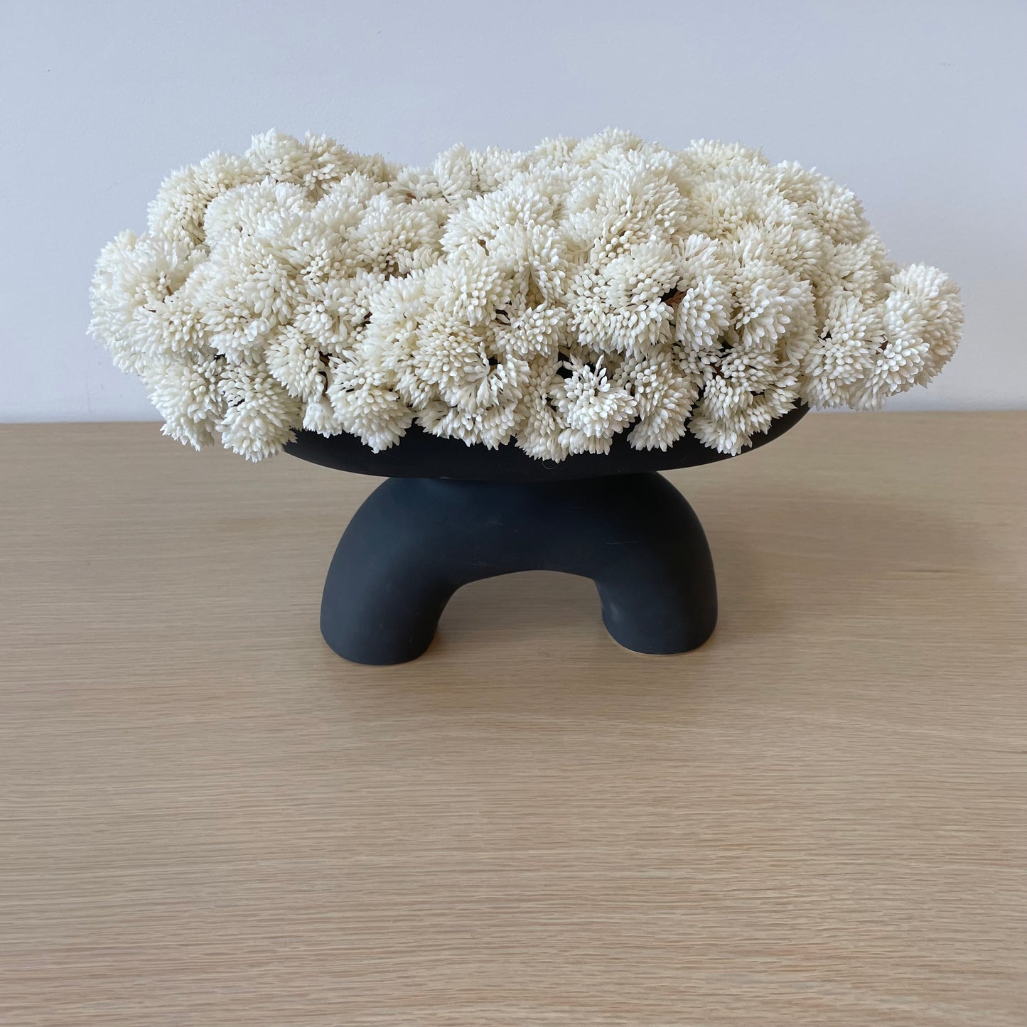 Custom Sculptural Sedums