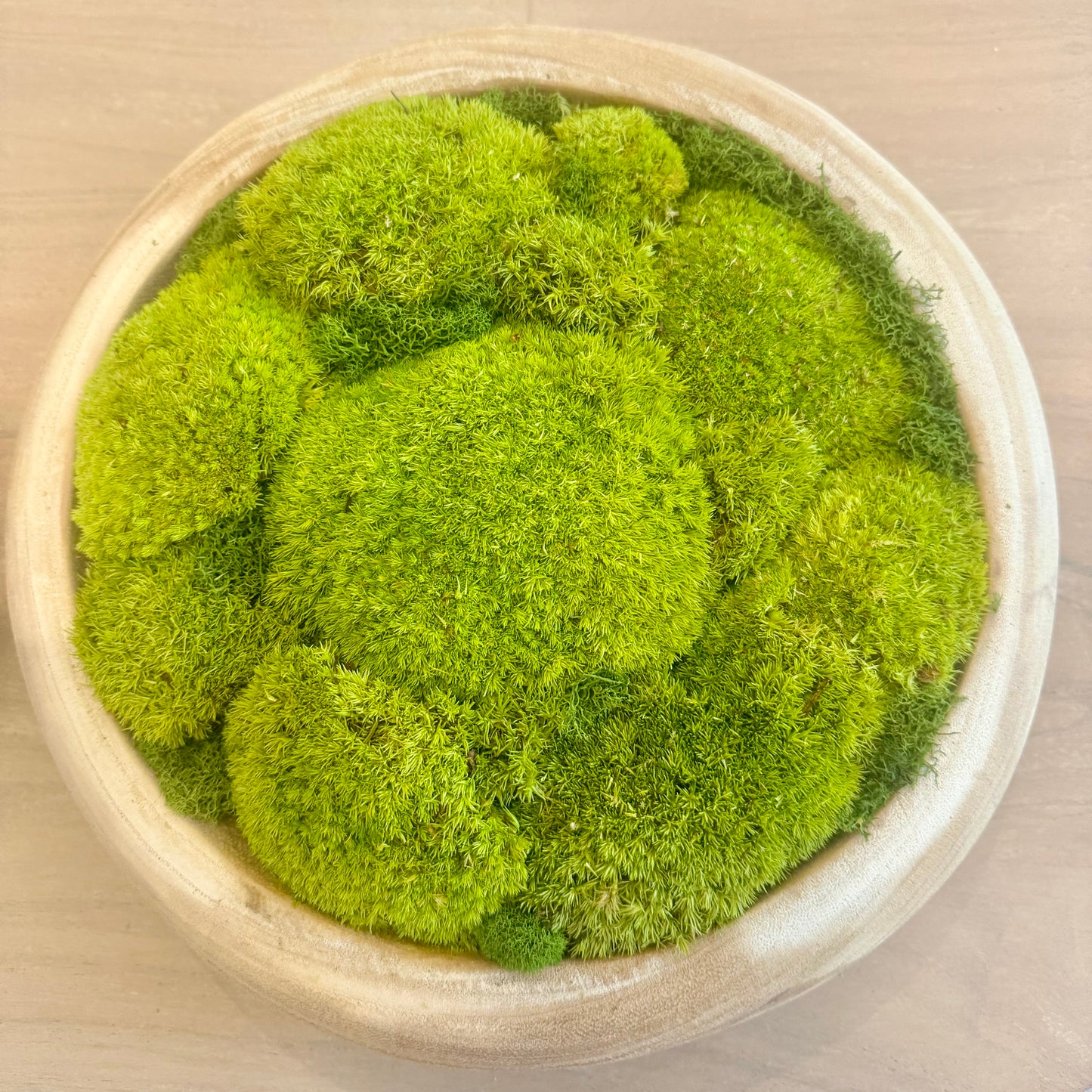 Pebble Moss Bowl