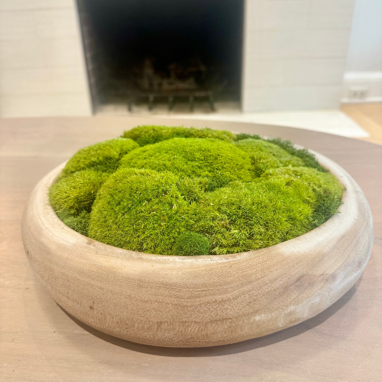 Pebble Moss Bowl