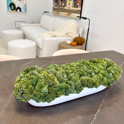 Flora arrangement in a Toronto home